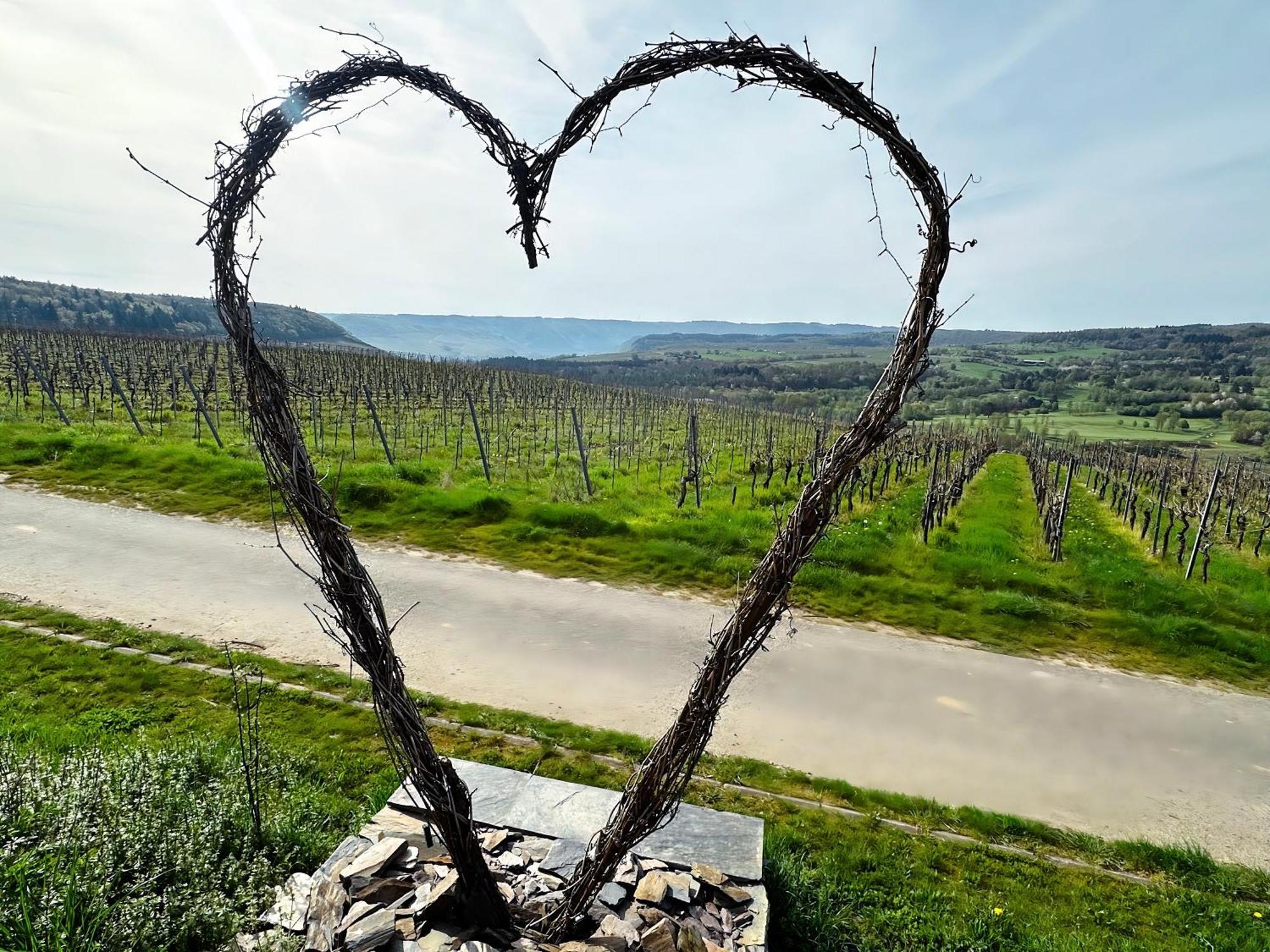 Ferienwohnung Moselherz - Urlaub Im Wein- Und Ferienort 베콘드 외부 사진